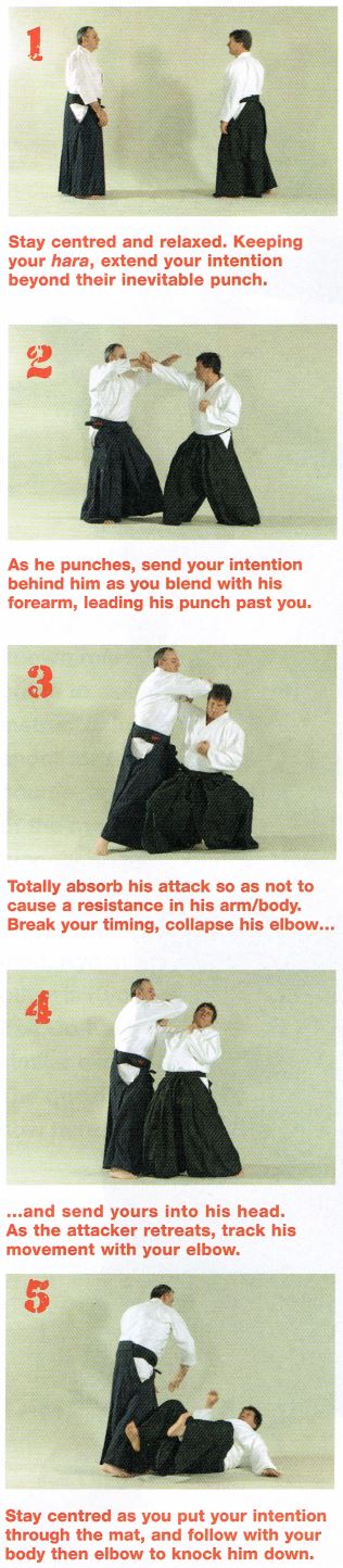 No-Bull Aikido Pic3