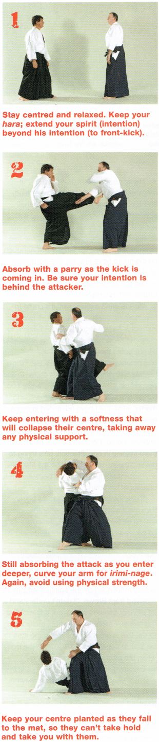 No-Bull Aikido pic6