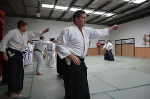 Training - tsuki - ki fusion Aikido